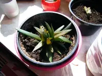 dscf6985c.webp