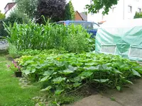 IMG_4491b.webp