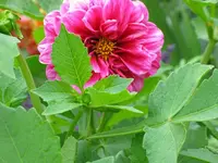 IMG_4470.webp