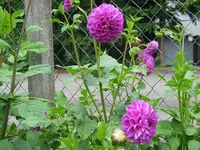 IMG_4484.webp