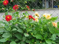 IMG_4486.webp