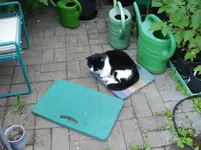 IMGP5396.webp