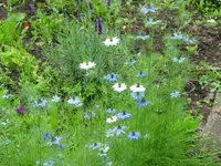 IMG_4472.webp