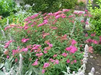 IMG_4475.webp