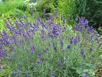 IMG_4478.webp
