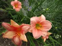 012.webp