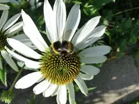 CIMG0732.webp
