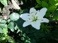Foto0302.webp