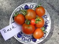 BILD0108.webp