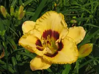 IMG_fragezeichen 21_1024x768.webp