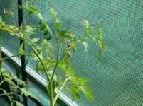 DSC01222.webp