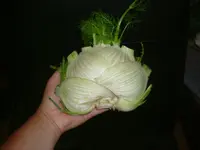 Äpfel 150.webp