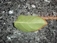 Bild3.webp