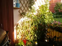 20120709_195548.webp