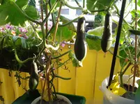 20120709_195522.webp
