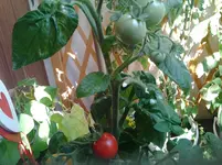 20120709_195658.webp