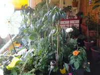 20120709_195910.webp
