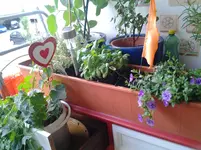20120709_195331.webp