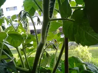 20120709_195234.webp