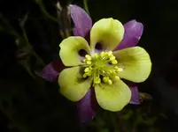 P1010715.webp