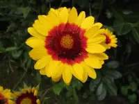 024.webp