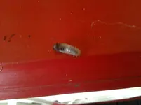 20120710_103330.webp