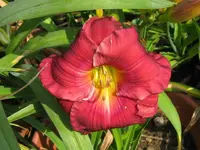 IMG_a 202_1024x768.webp