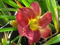 IMG_a 234_1024x768.webp