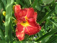 IMG_ab 7_1024x768.webp