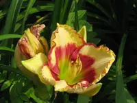 IMG_as 25_1024x768.webp