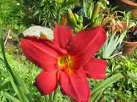 IMG_chicago atztek1_1024x768.webp