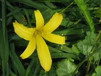 IMG_north star1_1024x768.webp