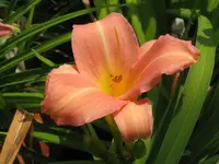 IMG_winesome lady1_1024x768.webp