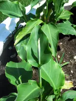 DSCN0458.webp