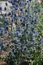 DSC_1966.webp