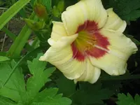 IMG_brilliant circle_1024x768.webp