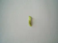 PIC_0067.webp