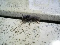 PIC_0085.webp