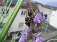 PIC_0092.webp