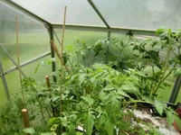 CIMG3107.webp