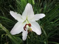 021.webp
