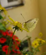 IMG_3502.webp