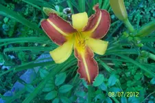 100_3332_3_1.webp