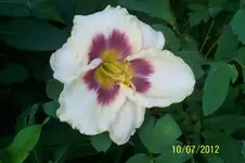 100_3365_36_1.webp