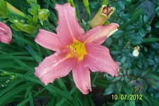 100_3367_38_1.webp