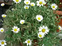P1030351.webp