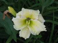 IMG_anja 2_1024x768.webp