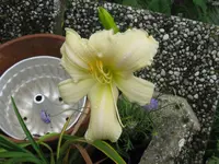 IMG_four star_1024x768.webp