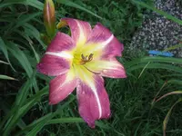 IMG_fragezeichen 19_1024x768.webp