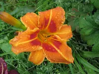IMG_polka time_1024x768.webp